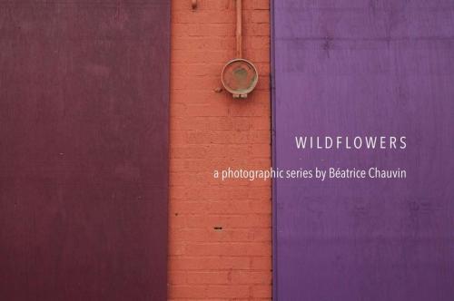 01_wildflowersmain_beatricechauvin