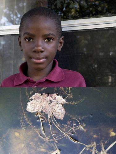 02_littlejim_beatricechauvin