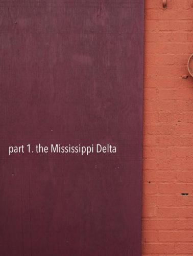 02_wildflowersdelta-beatricechauvin