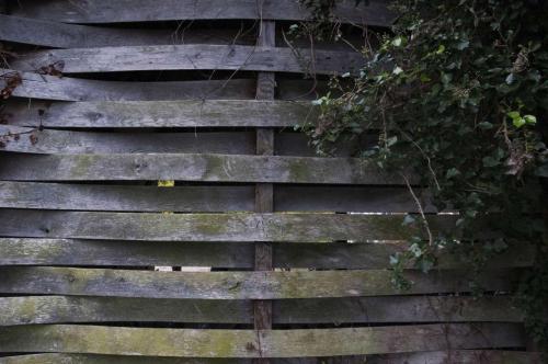 05_joshua_beatricechauvin