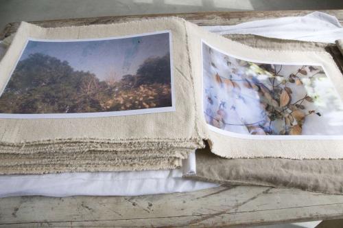 06_leaves_beatricechauvin (5 sur 6)