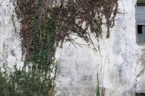 06_signs_beatricechauvin