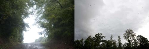 07_emotions_beatricechauvin