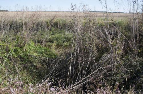 07_richardroad_beatricechauvin