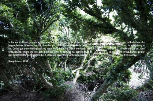 09_harrygrimes_beatricechauvin