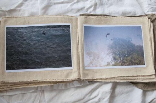 09_wall_beatricechauvin (1 sur 1)