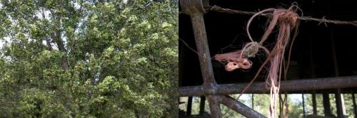 10_stories_beatricechauvin