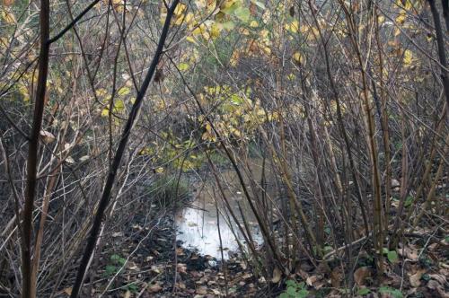 11_determination_beatricechauvin