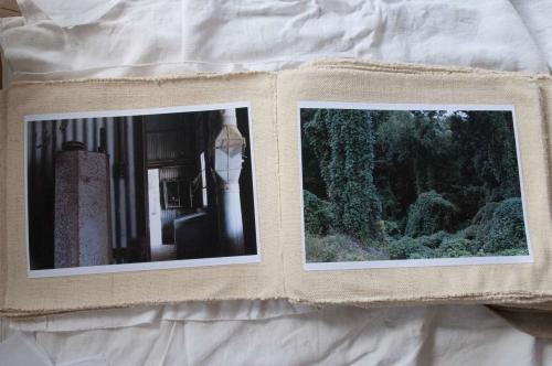 11_kudzu_beatricechauvin (2 sur 2)