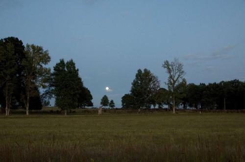 12_cottondays_beatricechauvin