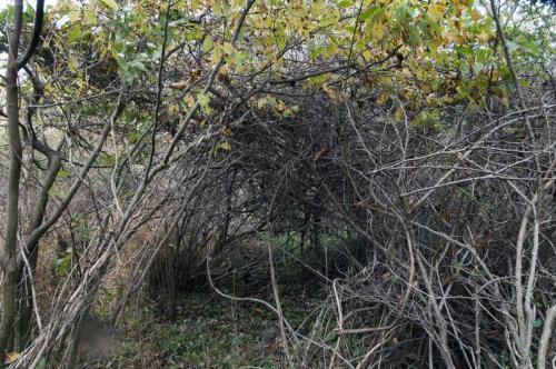 12_nervesofsteel_beatricechauvin