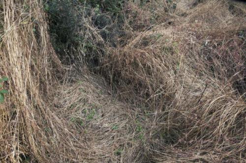 13_hidding_beatricechauvin