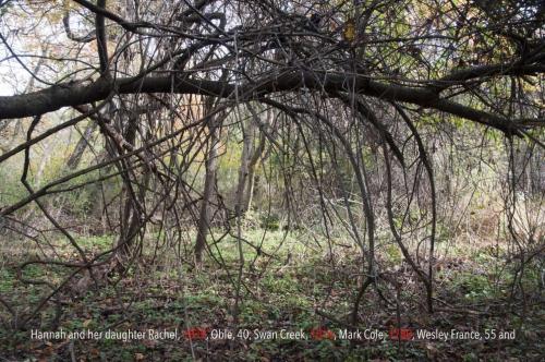 14_shield_beatricechauvin