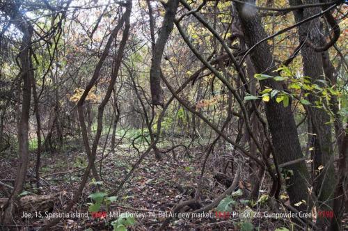 15_courage_beatricechauvin