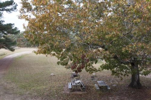 15_thetable_beatricechauvin