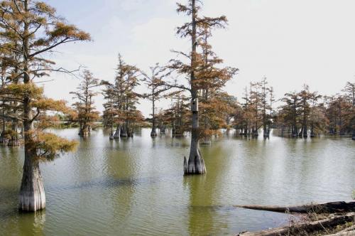 15_vance_beatricechauvin