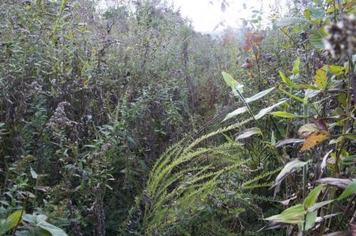 16_almostthere_beatricechauvin (7 sur 23)