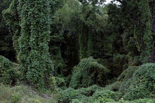 16_highway8_beatricechauvin