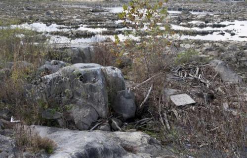 17_seekingfreedom_beatricechauvin