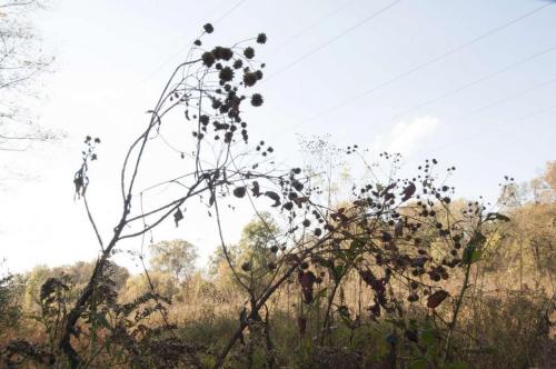 19_hope_beatricechauvin (1 sur 1)