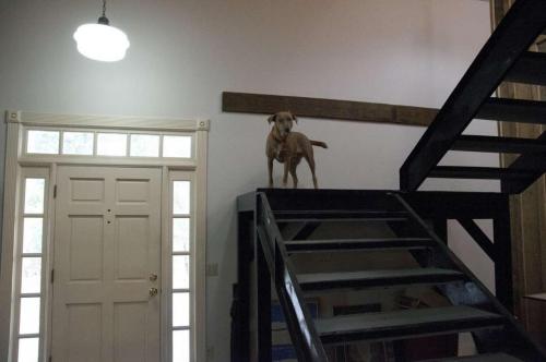 21_honey_beatricechauvin