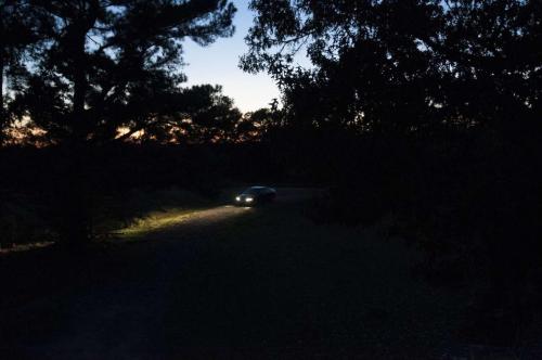 25_twilightpoem_beatricechauvin