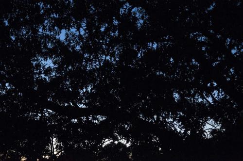 27_tracespoem_beatricechauvin